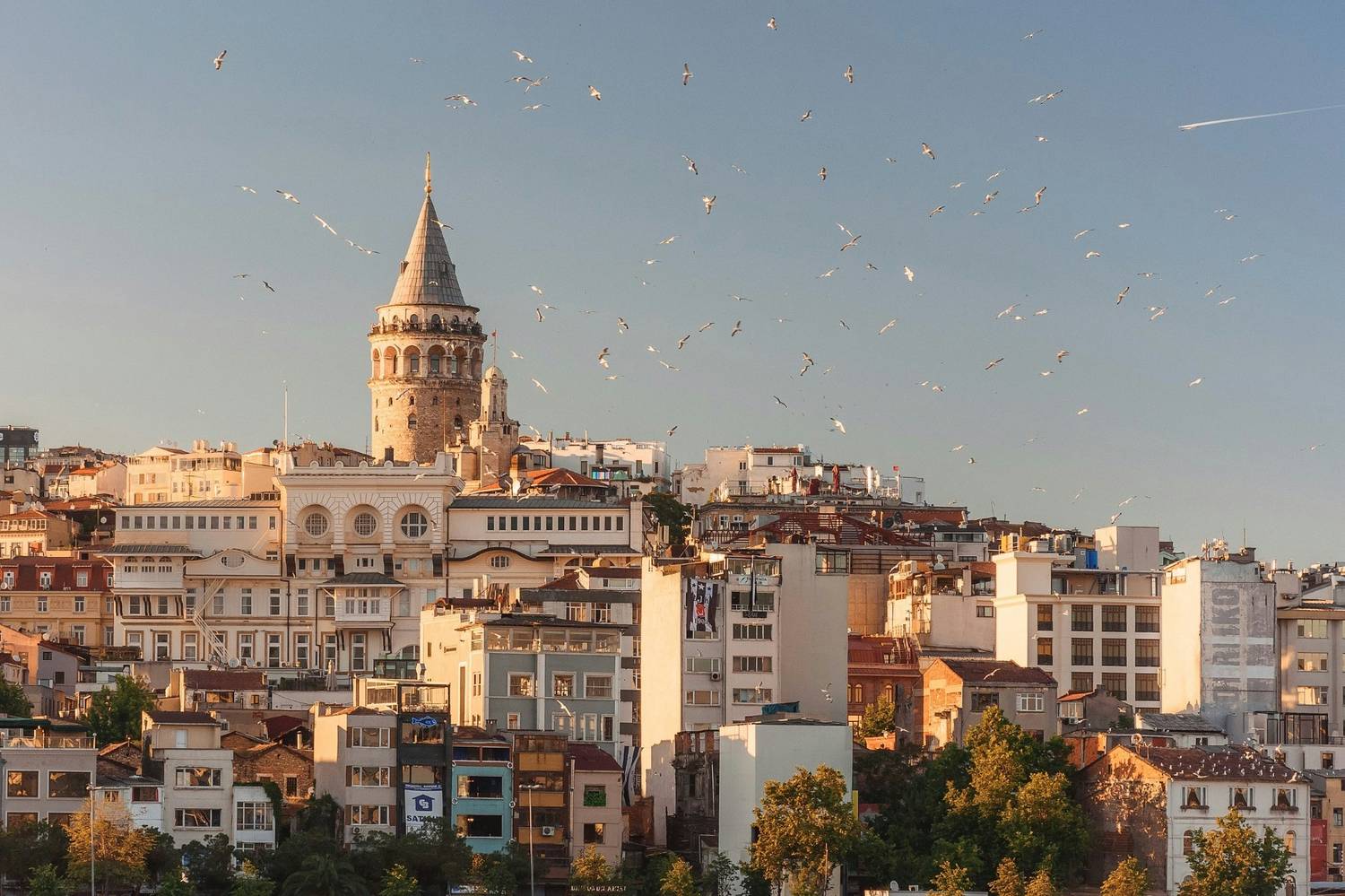 Turkey City